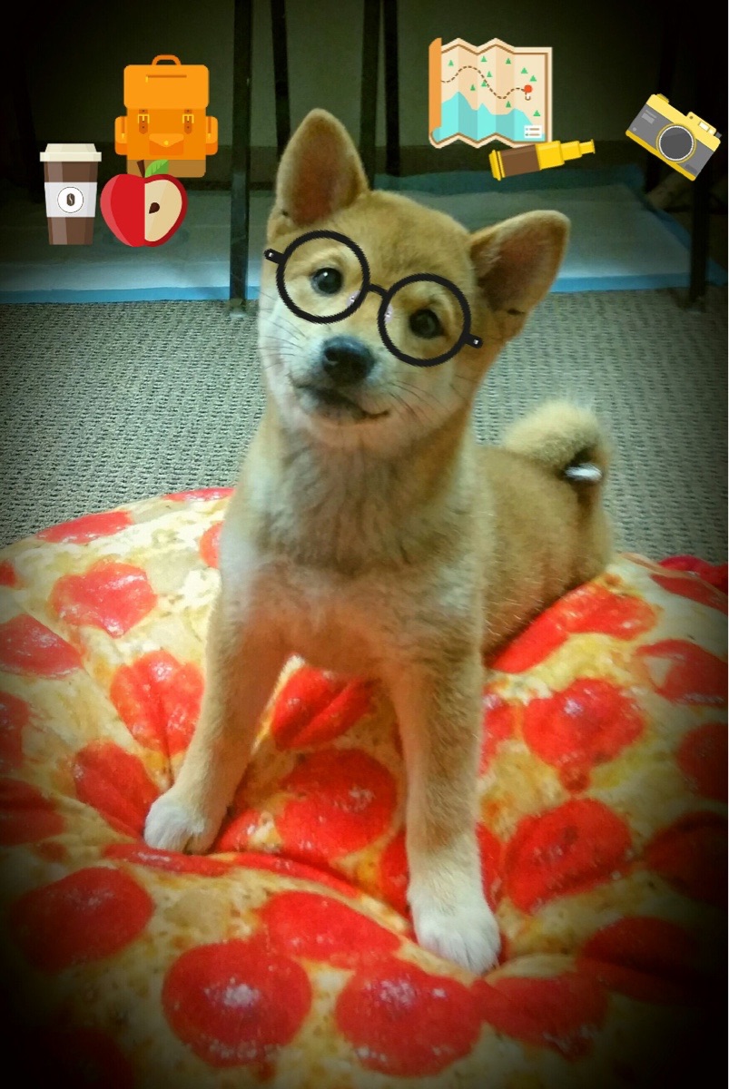 九游体育登陆-_运动员家庭故事：背后支持他们的亲情力量_，运动员家庭条件都很好吗