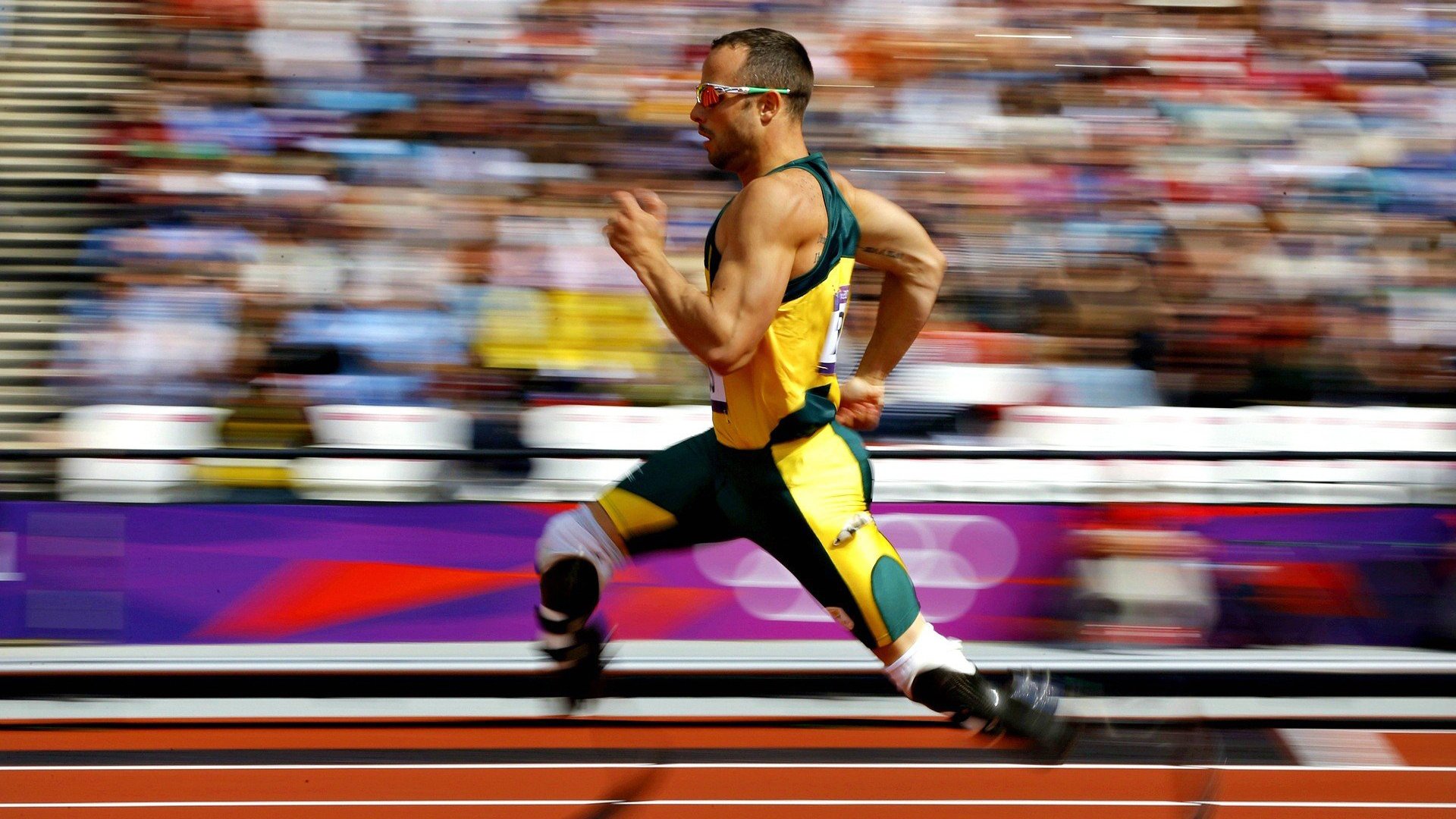 斯滕伯根决赛表现引发热议,斯滕伯格的书